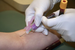 phlebotomy technician program